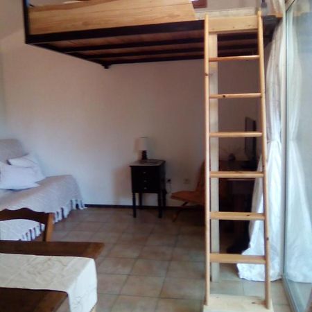 Sous Les Pins Apartment Villeneuve-les-Avignon Bagian luar foto
