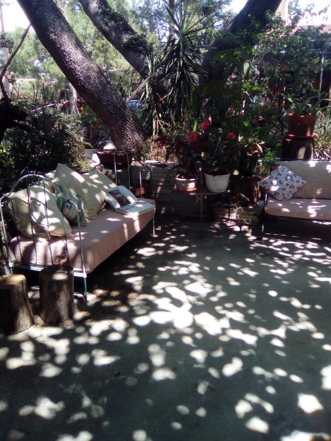 Sous Les Pins Apartment Villeneuve-les-Avignon Bagian luar foto