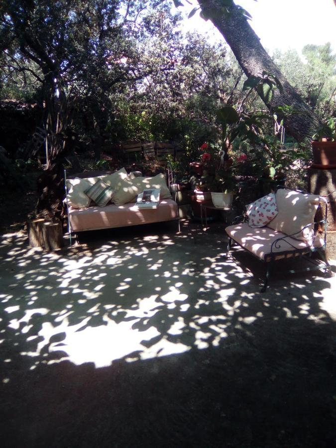 Sous Les Pins Apartment Villeneuve-les-Avignon Bagian luar foto